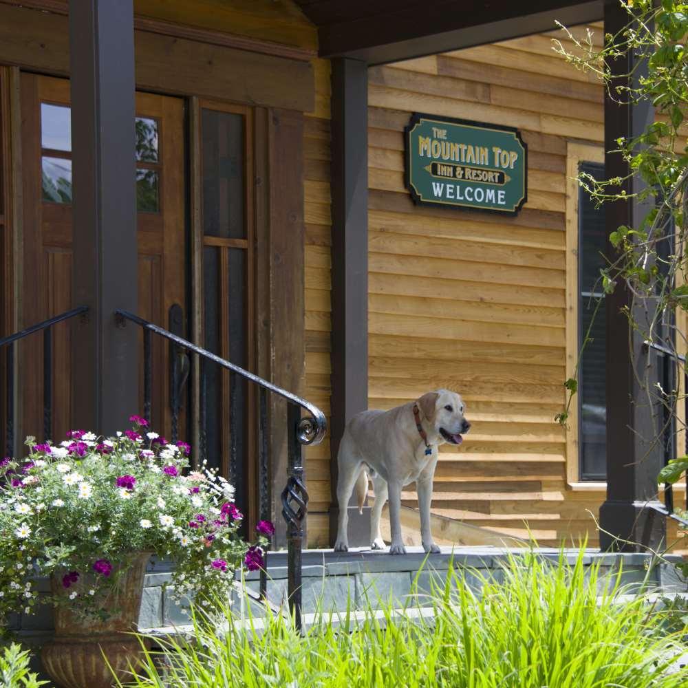 The Mountain Top Inn & Resort Chittenden Servicios foto